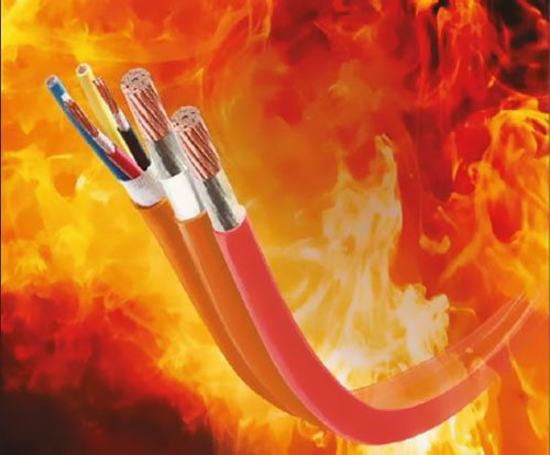 2018ȫͻ|Ј_(d)17.6|Ԫ