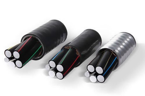 XϽ|ǷχҘ(bio)(zhn)